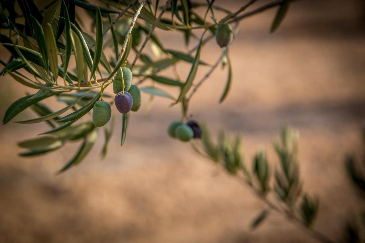 Finca Tres Molinos B&B Roldán エクステリア 写真