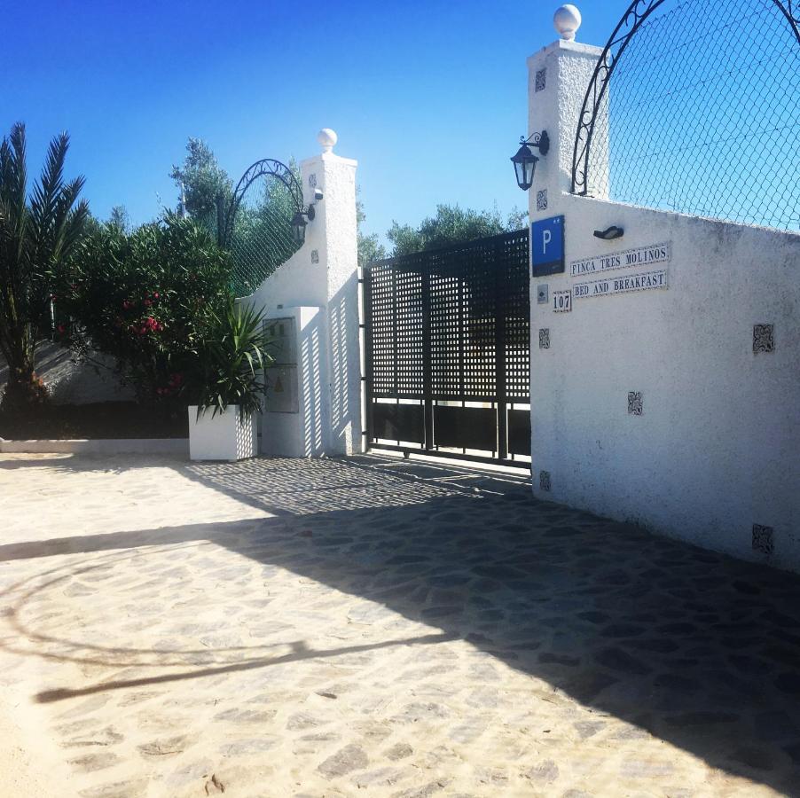 Finca Tres Molinos B&B Roldán エクステリア 写真